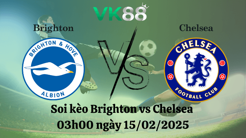 VK88 Nhận định soi kèo Brighton vs Chelsea 03h00 ngày 15/02/2025 - Ngoại Hạng Anh