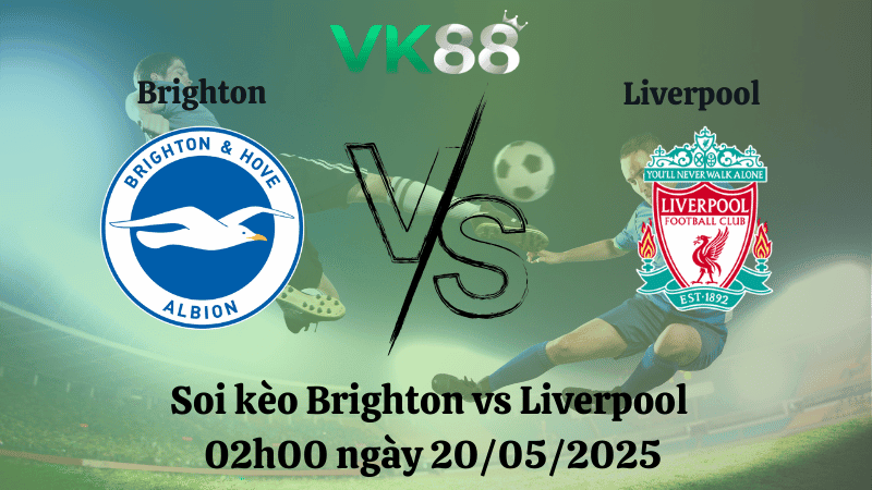 VK88 Nhận định soi kèo Brighton vs Liverpool 02h00 ngày 20/05/2025 - Ngoại hạng Anh